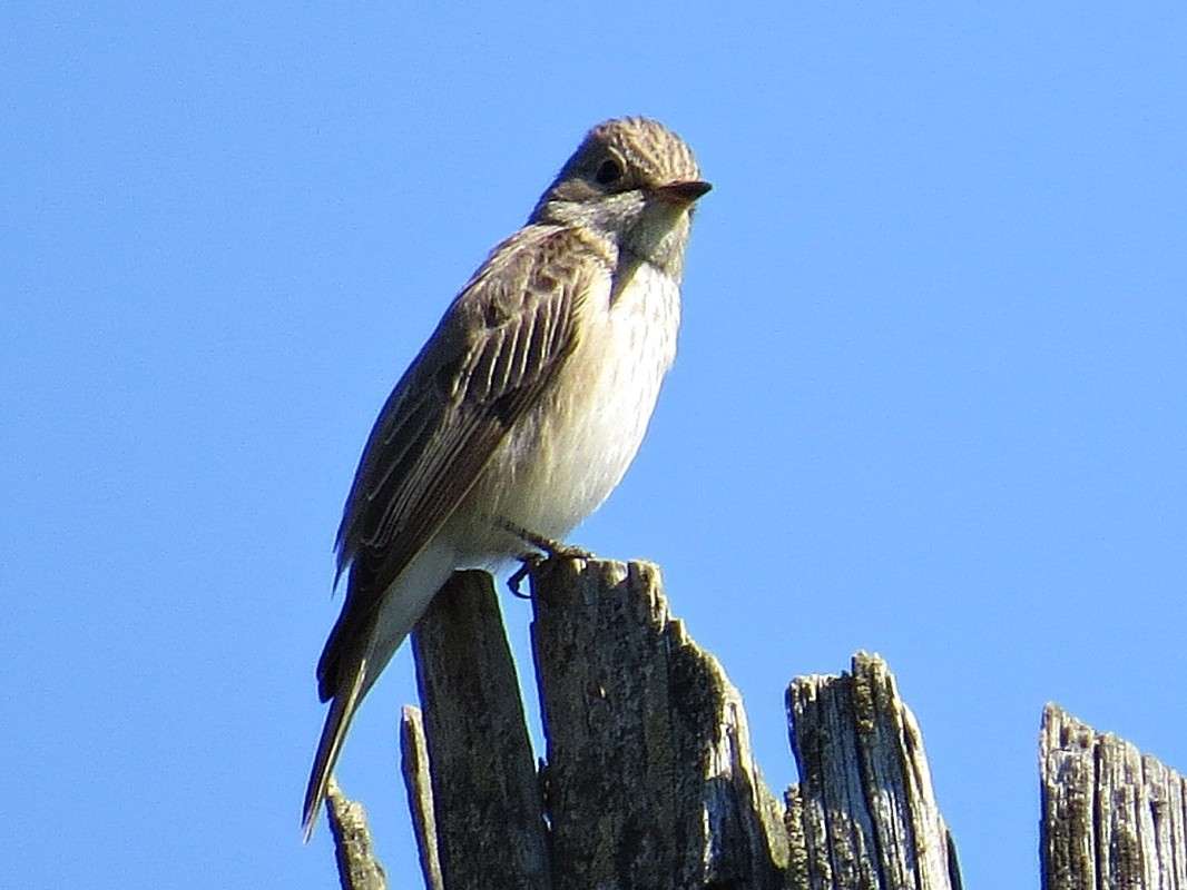 ���������. ����� �������� ������ �� PhotoGeek.ru #�������� ��� #����� ��� ��� ���������