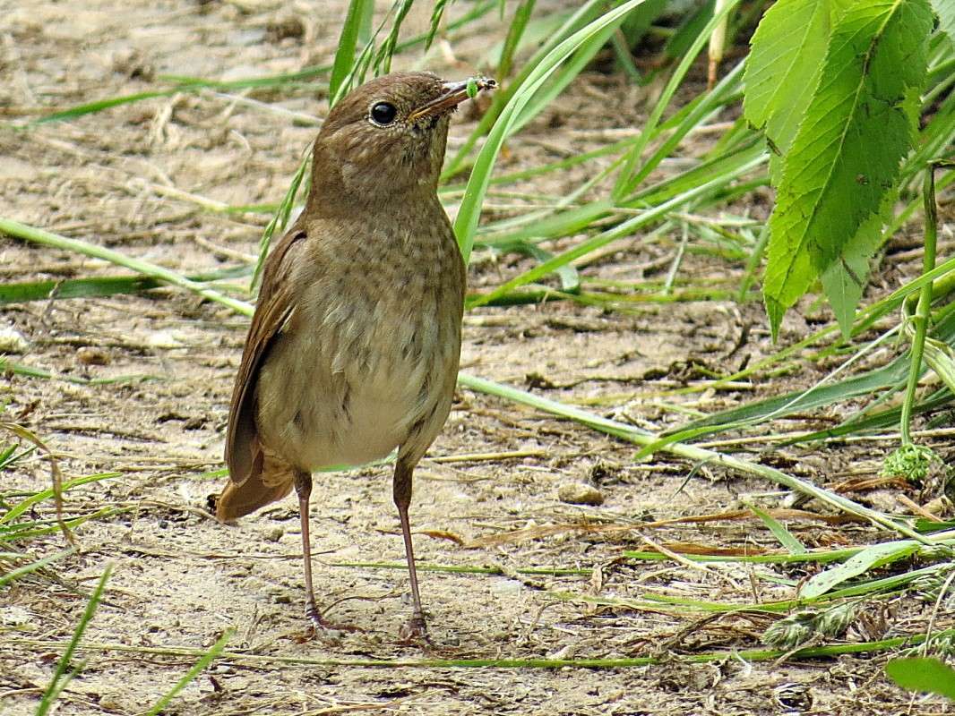 ������� ��������. ����� �������� ������ �� PhotoGeek.ru #�������� ��� #����� ��� ��� ���������