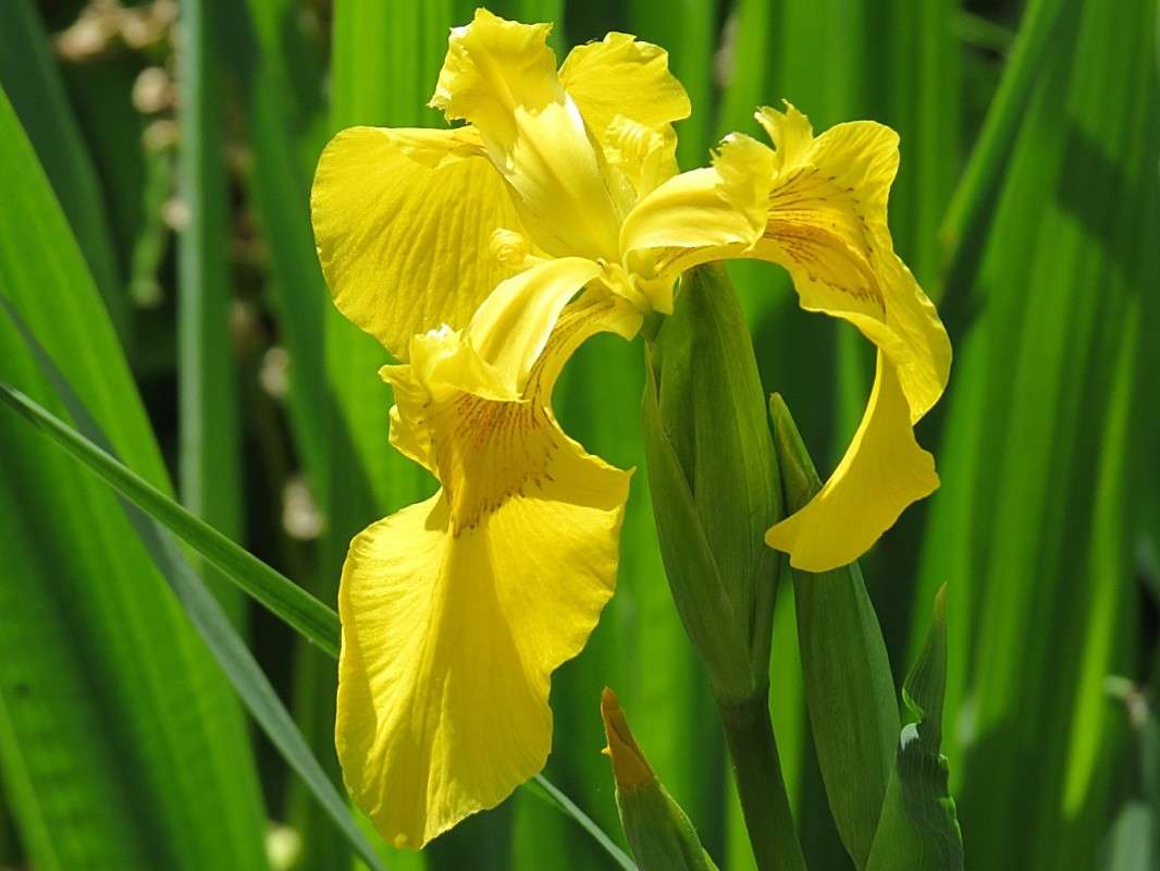 ���� ����� �������� ������ �� PhotoGeek.ru #������ ��� ������� #����� ��������������