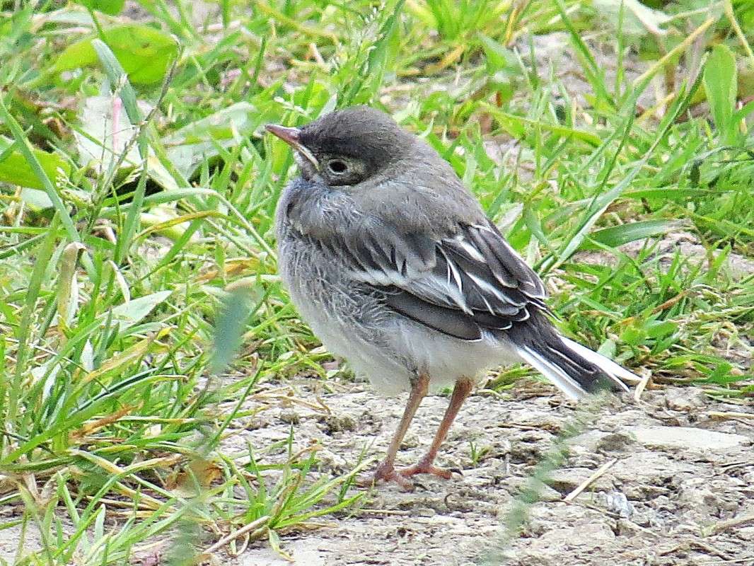 ������ ����������.� ����� ��������... ����� �������� ������ �� PhotoGeek.ru #�������� ��� #����� ��� ��� ���������