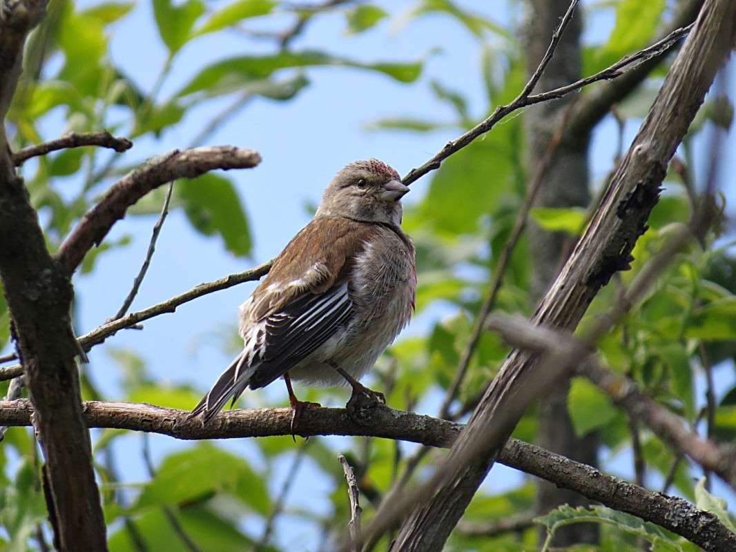 ���������� ����� �������� ������ �� PhotoGeek.ru #�������� ��� #����� ��� ��� ���������