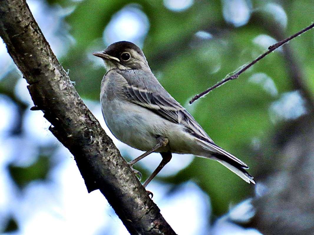 ���������� ����� �������� ������ �� PhotoGeek.ru #�������� ��� #����� ��� ��� ���������