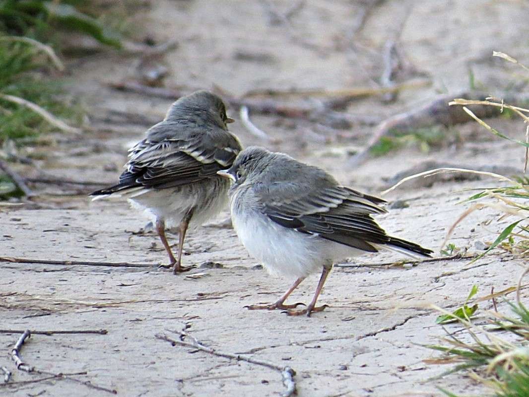 ��� �����. ����� �������� ������ �� PhotoGeek.ru #�������� ��� #����� ��� ��� ���������