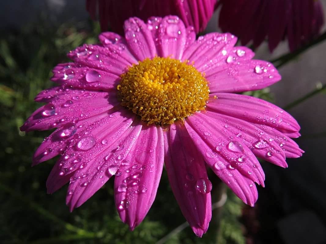 ��������.����� �����. ����� �������� ������ �� PhotoGeek.ru #����� #������ ��� ������� #����� ��������������