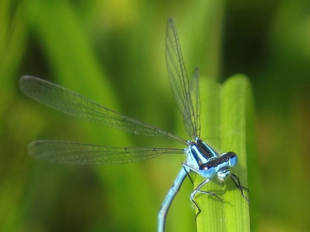 ������� �������. ����� �������� ������ �� PhotoGeek.ru #����� #���������