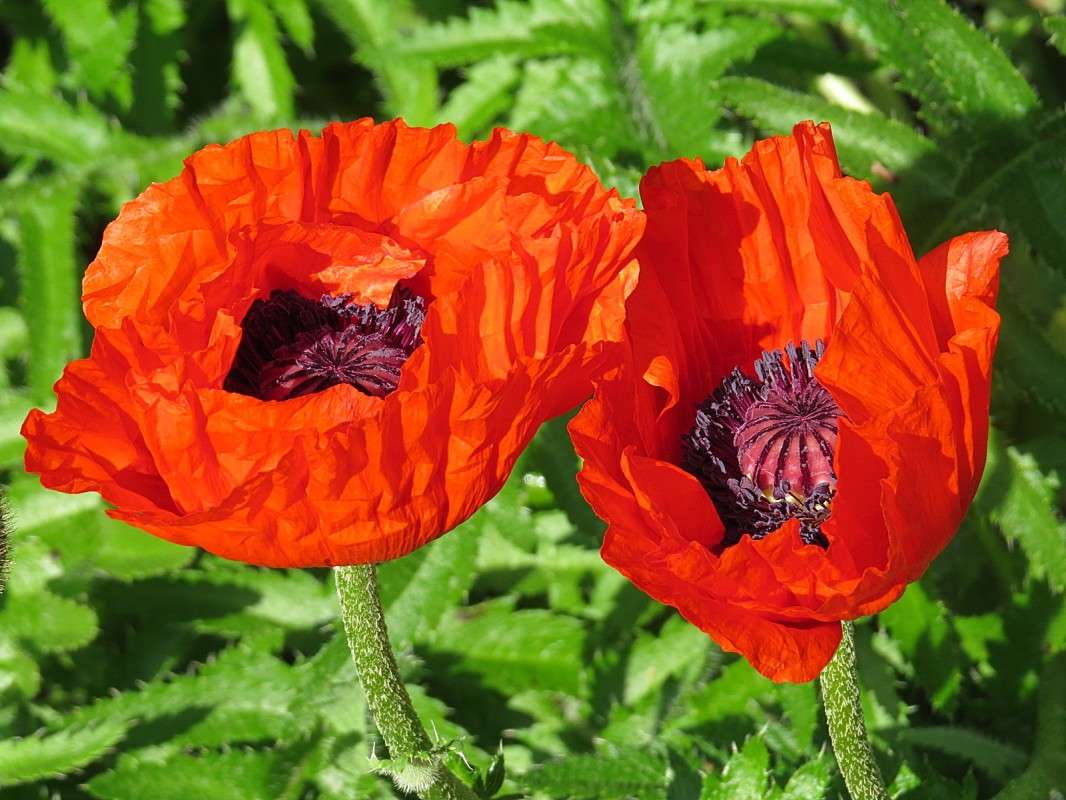 ���� ����. ����� �������� ������ �� PhotoGeek.ru #������ ��� ������� #����� ��������������