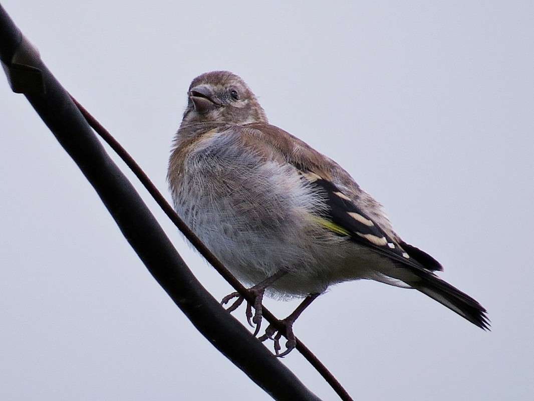 ������� ������. ����� �������� ������ �� PhotoGeek.ru #�������� ��� #����� ��� ��� ���������