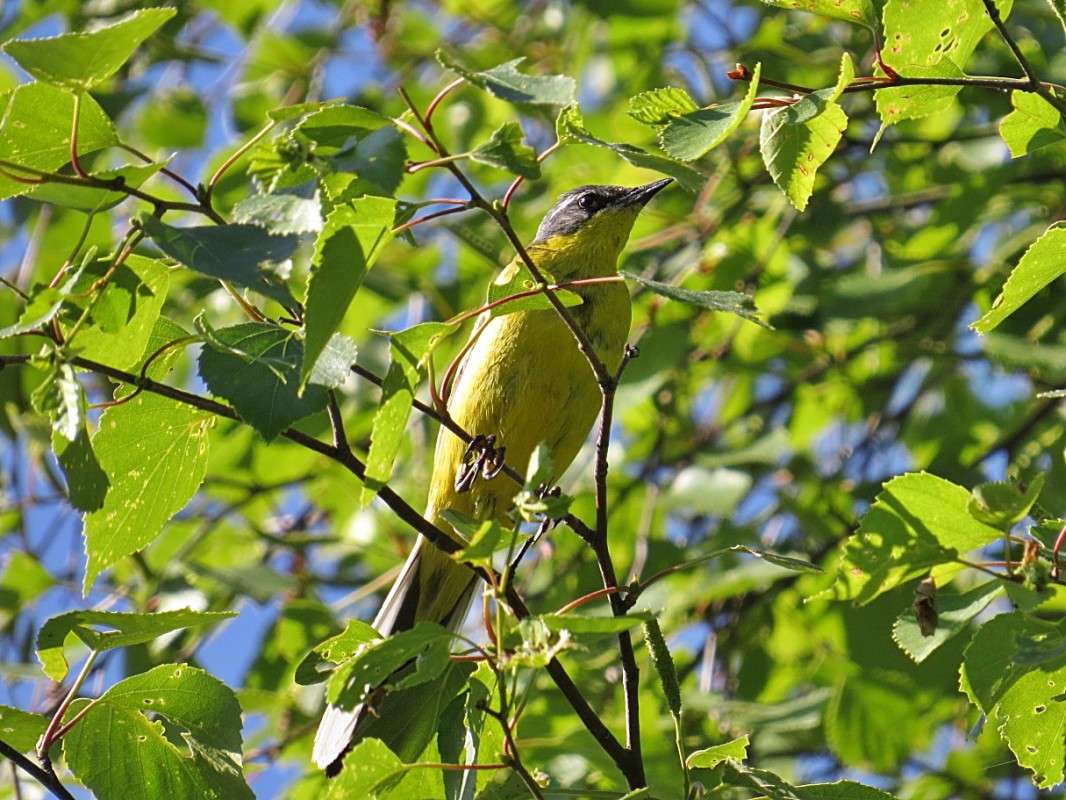 ���������� �����. ����� �������� ������ �� PhotoGeek.ru #�������� ��� #������ ��� ������� #����� ��� ��� ���������