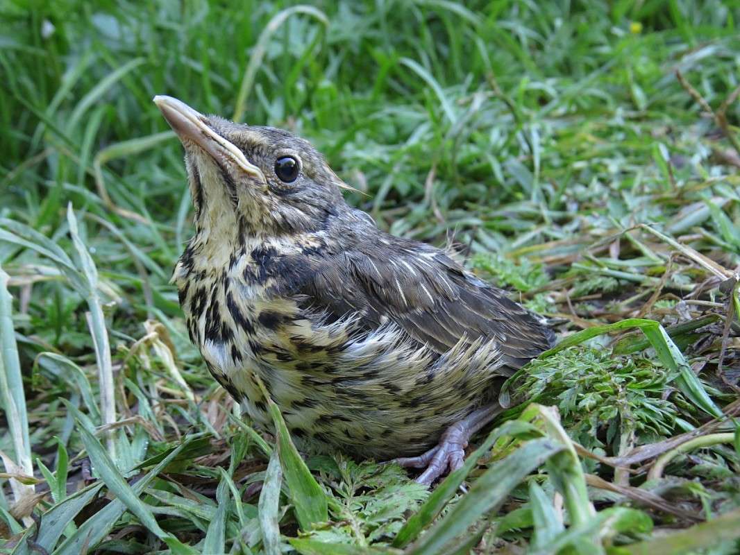 ������� ������. ����� �������� ������ �� PhotoGeek.ru #�������� ��� #������ ��� ������� #����� ��� ��� ���������