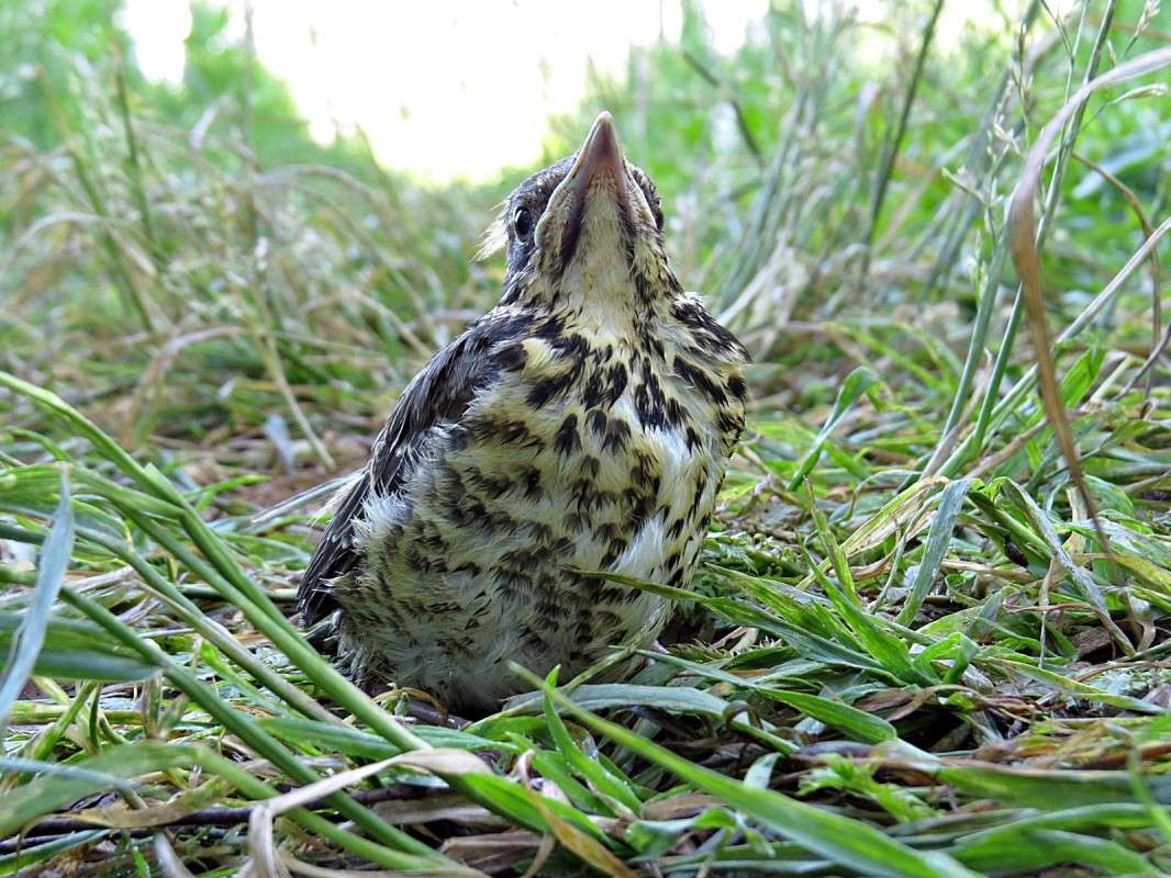 ������� ����� �� ������, ��� ��������� ��� ����? ����� �������� ������ �� PhotoGeek.ru #�������� ��� #������ ��� ������� #����� ��� ��� ���������