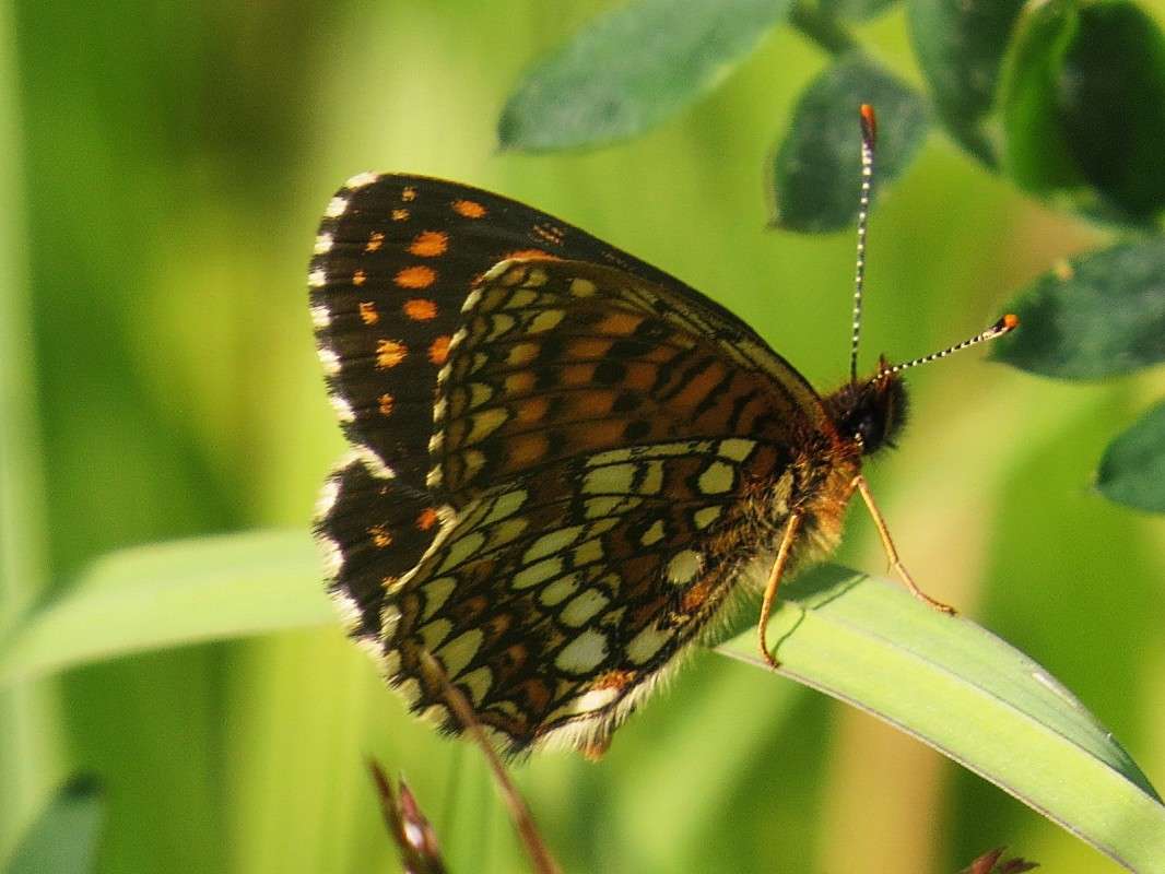 ��������� ���������� ����� �������� ������ �� PhotoGeek.ru #����� #������ ��� ������� #���������