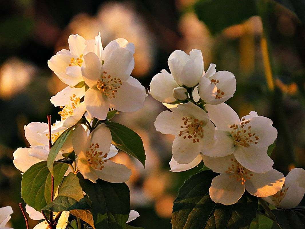 ������ �� ������ ����� �������� ������ �� PhotoGeek.ru #������ ��� ������� #����� ��������������