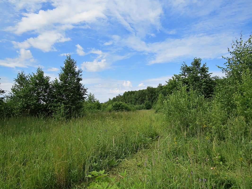 ������ ��������� ����� �������� ������ �� PhotoGeek.ru #������ ��� ������� #����� �������������� #������