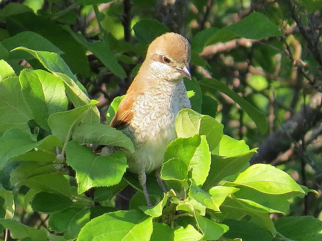 ���������-����� ����� ����� �������� ������ �� PhotoGeek.ru #�������� ��� #������ ��� ������� #����� ��� ��� ���������