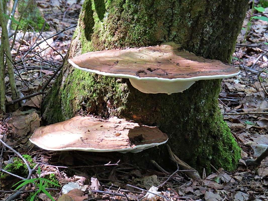 ���������.���� ��������. ����� �������� ������ �� PhotoGeek.ru #������ ��� ������� #����� ��������������