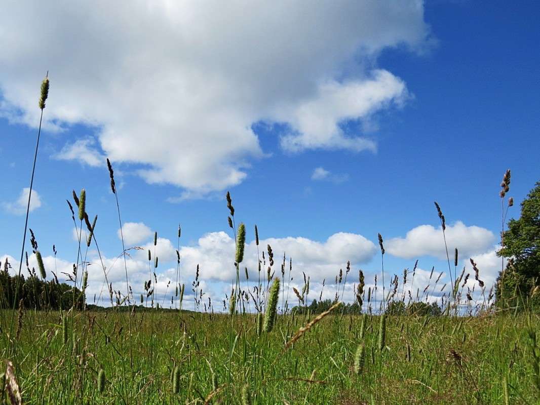 �������. ����� �������� ������ �� PhotoGeek.ru #������ ��� ������� #����� �������������� #��������