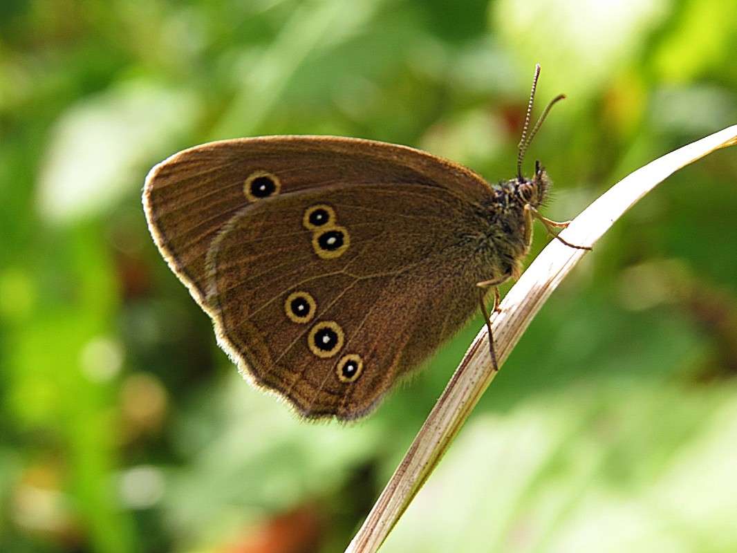 �������� �������� ����� �������� ������ �� PhotoGeek.ru #����� #�������� ��� #����� ��� ��� ���������