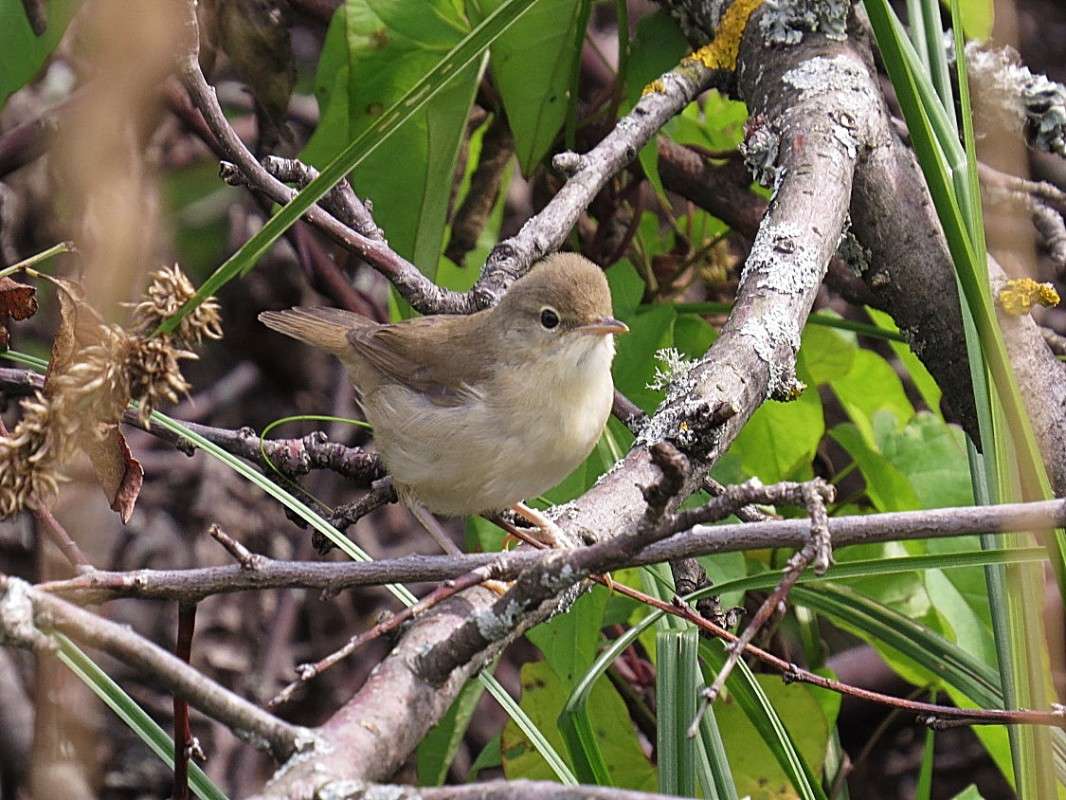 ������ ����� � ������ ! ����� �������� ������ �� PhotoGeek.ru #�������� ��� #������ ��� ������� #����� ��� ��� ���������