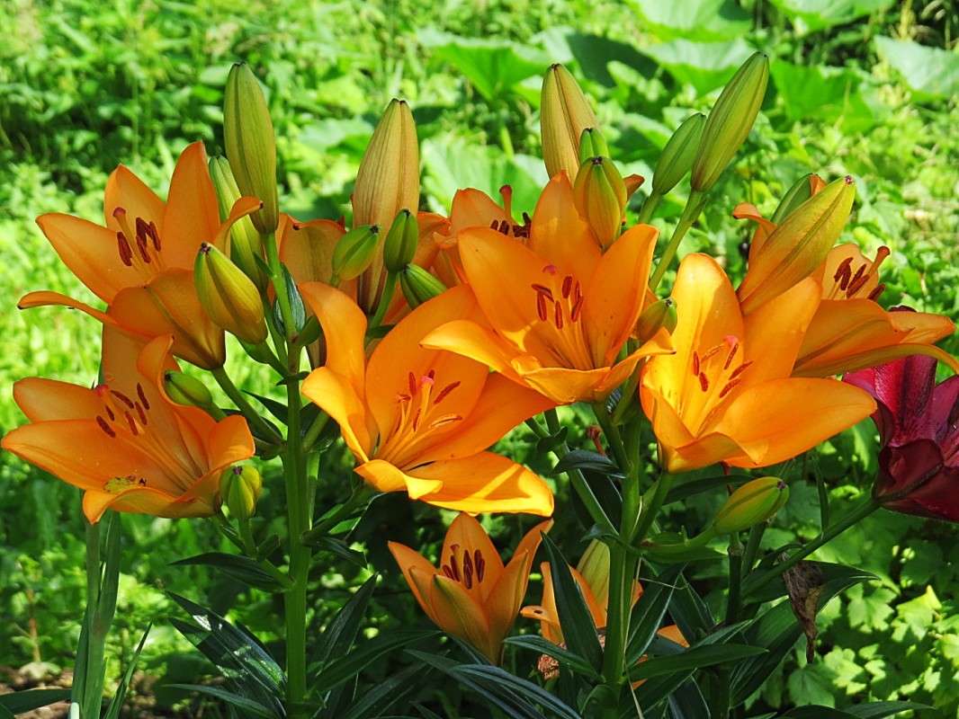 �����. ����� �������� ������ �� PhotoGeek.ru #������ ��� ������� #����� ��������������