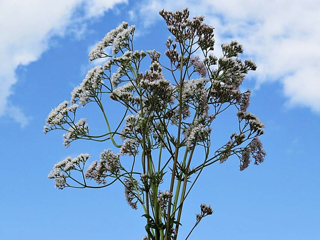 ��������� �������������. ����� �������� ������ �� PhotoGeek.ru #������ ��� ������� #����� ��������������