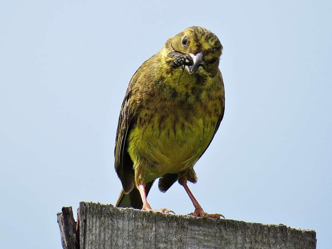 �������. � ��� ���� � ������� ������ ? ����� �������� ������ �� PhotoGeek.ru #�������� ��� #������ ��� ������� #����� ��� ��� ���������