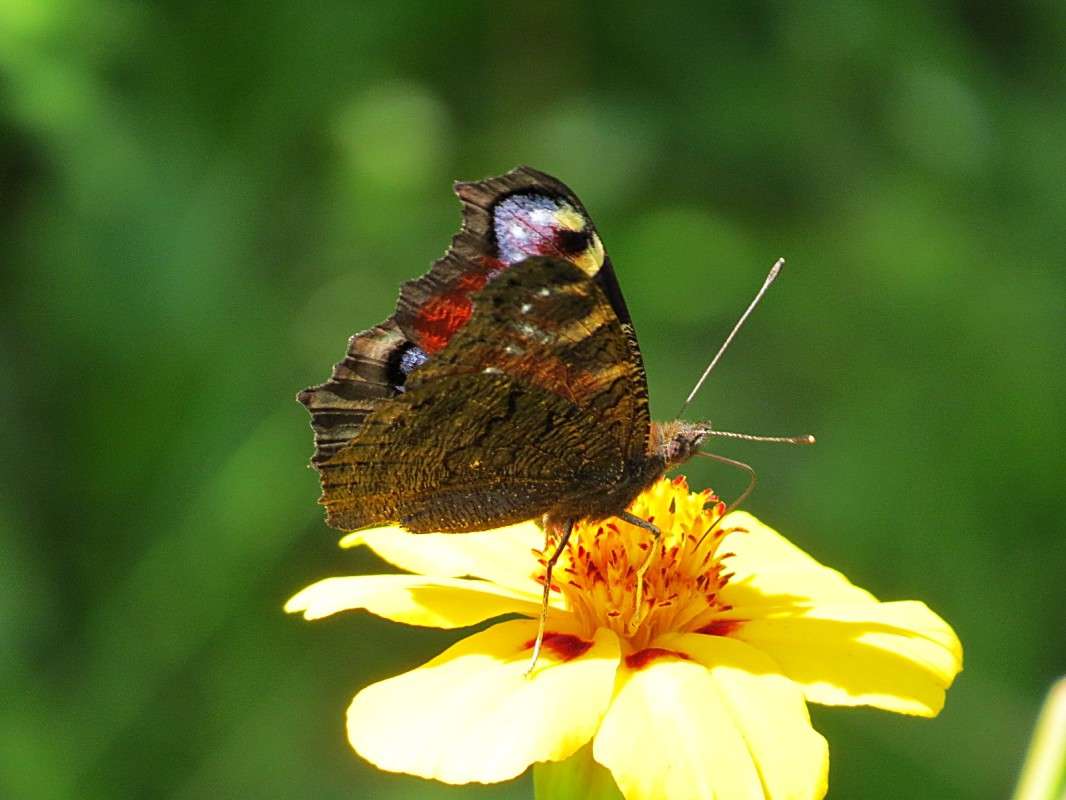 �������� ���� �� ���������� ��������. ����� �������� ������ �� PhotoGeek.ru #����� #������ ��� ������� #���������