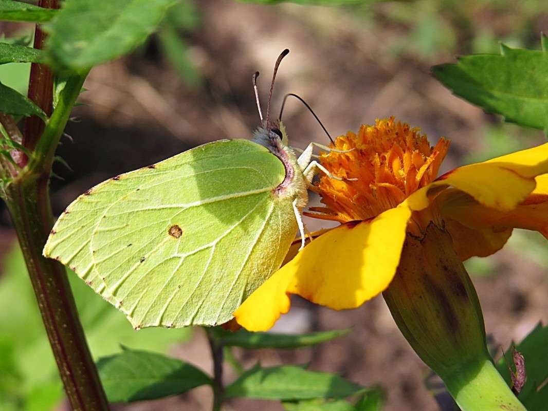 ��������� ��� ���������� ����� �������� ������ �� PhotoGeek.ru #����� #������ ��� ������� #���������