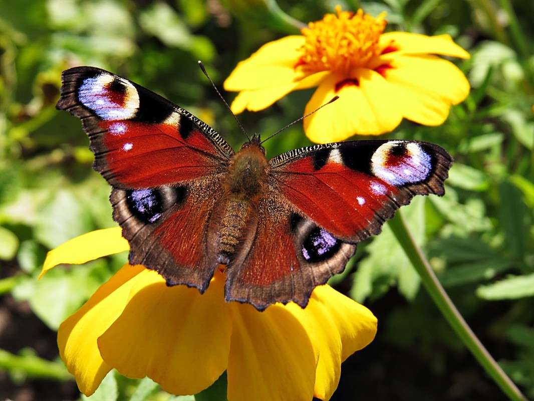 ��������  ���� ����� �������� ������ �� PhotoGeek.ru #����� #������ ��� ������� #���������