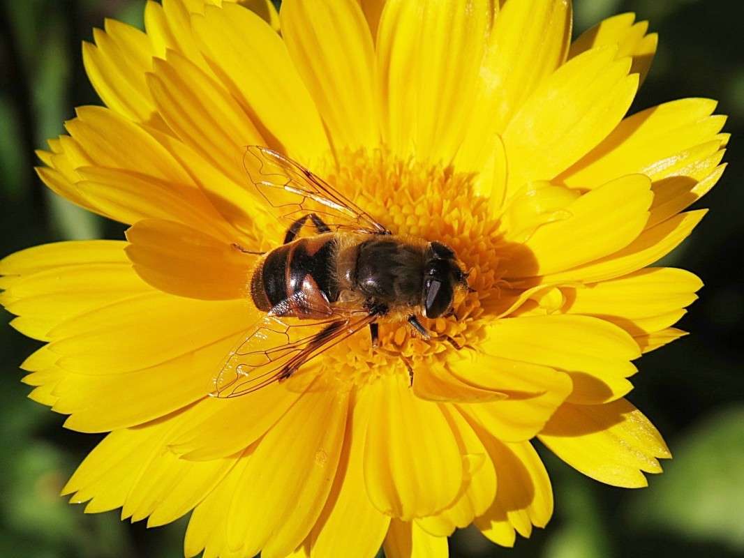 �������� ����� �������� ������ �� PhotoGeek.ru #����� #������ ��� ������� #���������