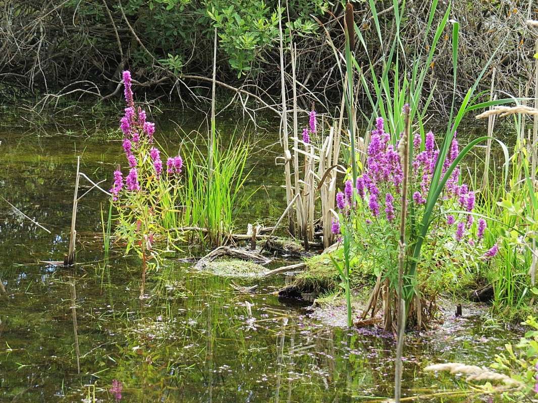 ������ ������. ����� �������� ������ �� PhotoGeek.ru #������ ��� ������� #����� �������������� #����� ��������