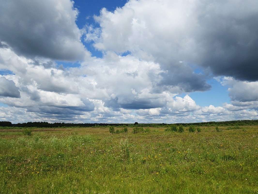 ������� ����. ����� �������� ������ �� PhotoGeek.ru #������ ��� ������� #��������