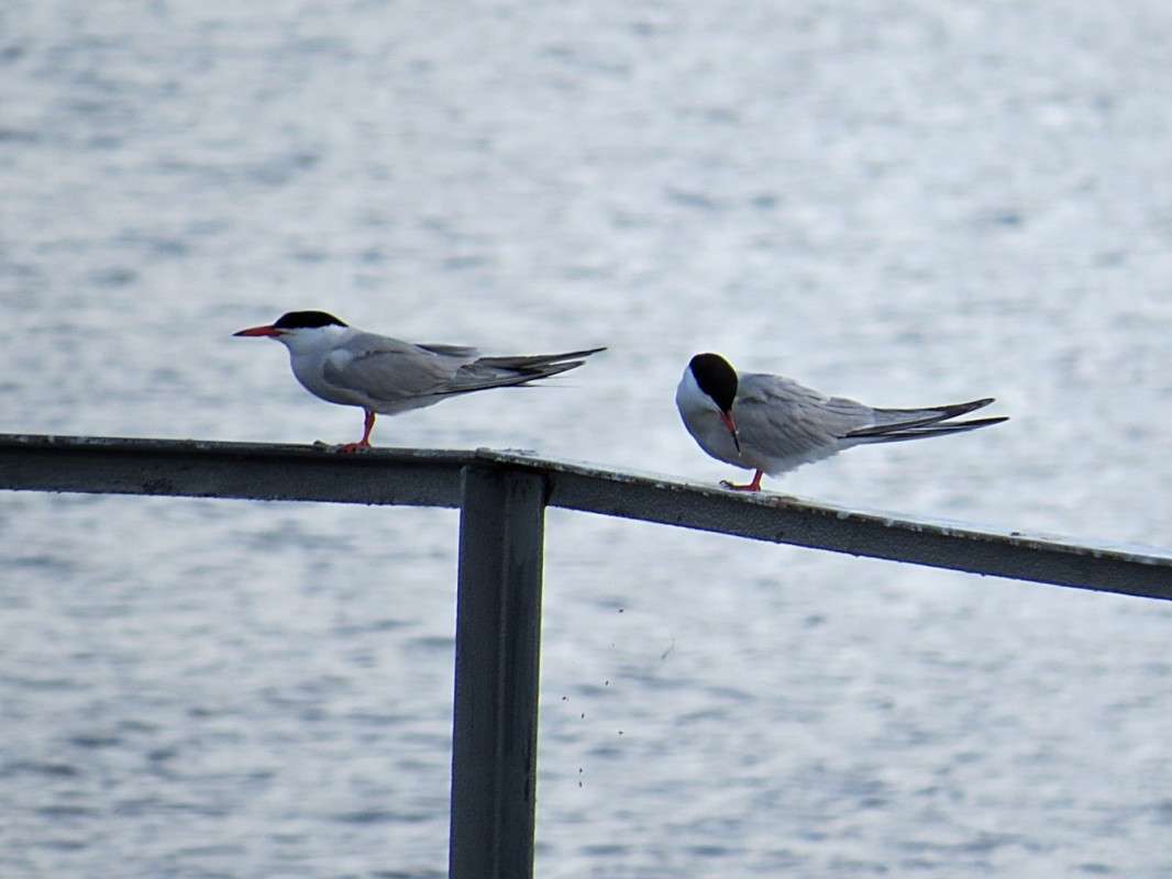 �����������...(������ ������) ����� �������� ������ �� PhotoGeek.ru #�������� ��� #������ ��� ������� #����� ��������