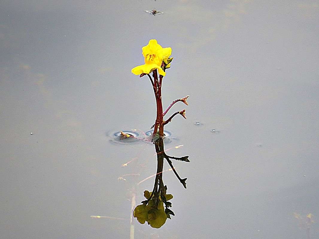 ���������� ������������. ����� �������� ������ �� PhotoGeek.ru #������ ��� ������� #����� �������������� #����� ��������