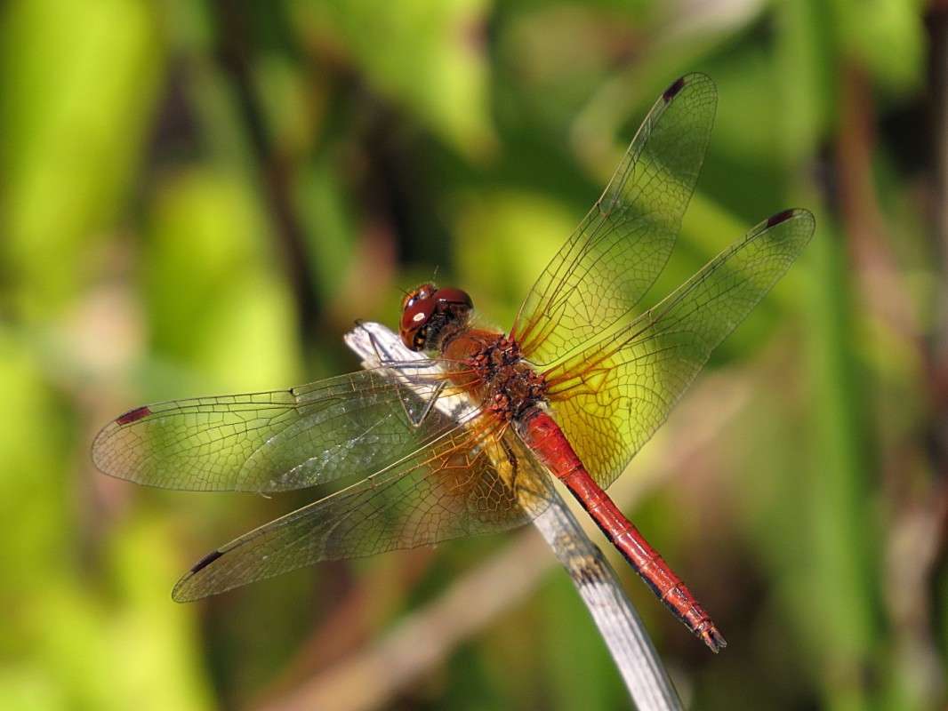 �������� ��������. ����� �������� ������ �� PhotoGeek.ru #����� #�������� ��� #������ ��� ������� #���������