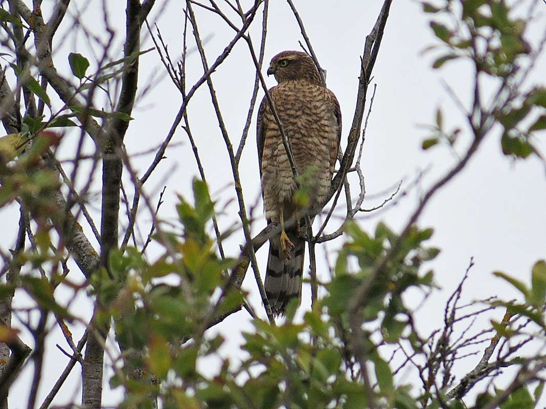 ������-������������. ����� �������� ������ �� PhotoGeek.ru #�������� ��� #������ ��� ������� #����� ��� ��� ���������