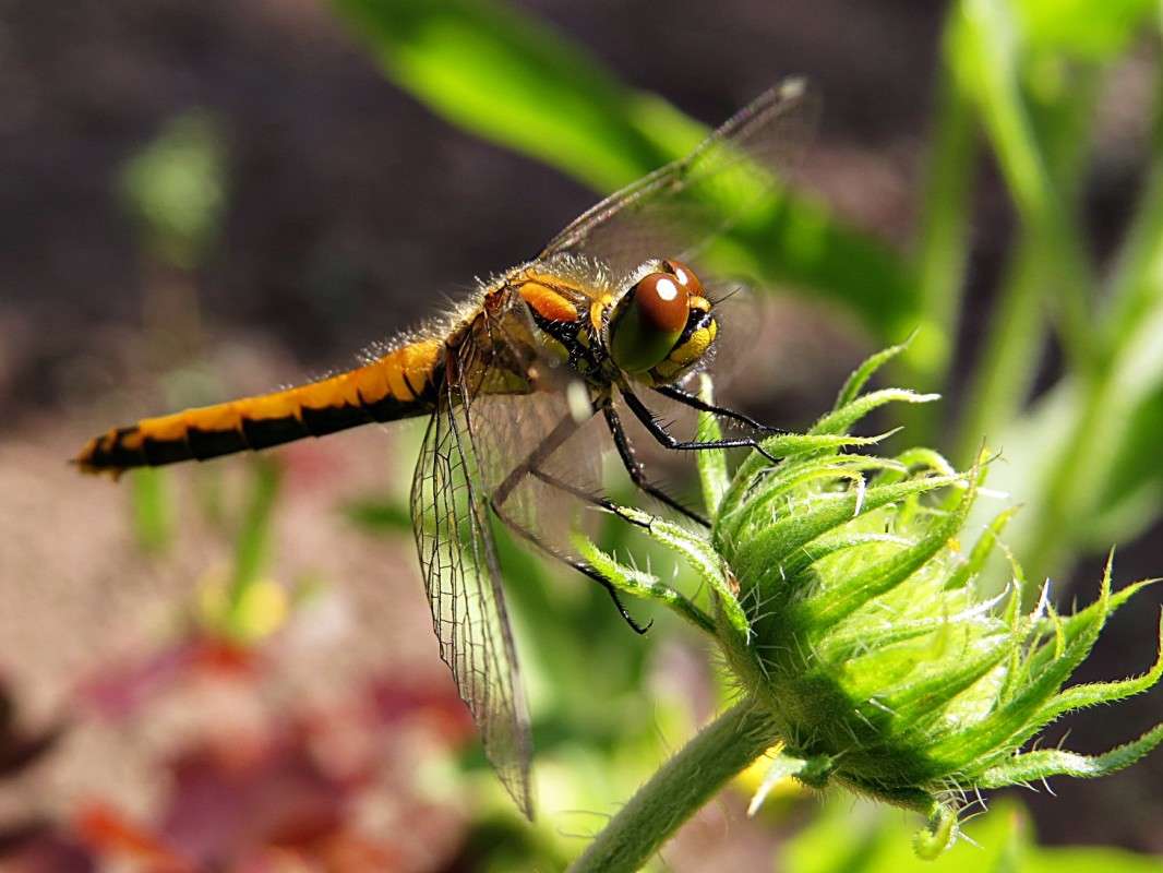 ��������. ����� �������� ������ �� PhotoGeek.ru #����� #�������� ��� #������ ��� ������� #���������