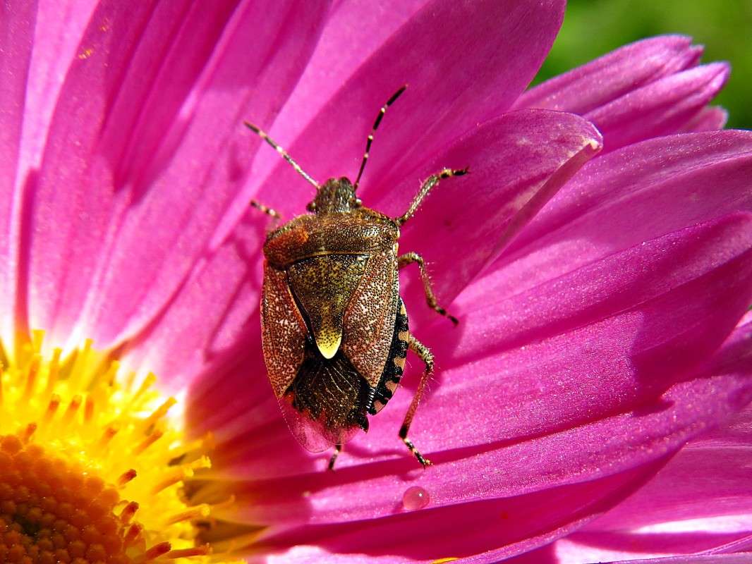 ... ����� �������� ������ �� PhotoGeek.ru #����� #�������� ��� #������ ��� ������� #���������