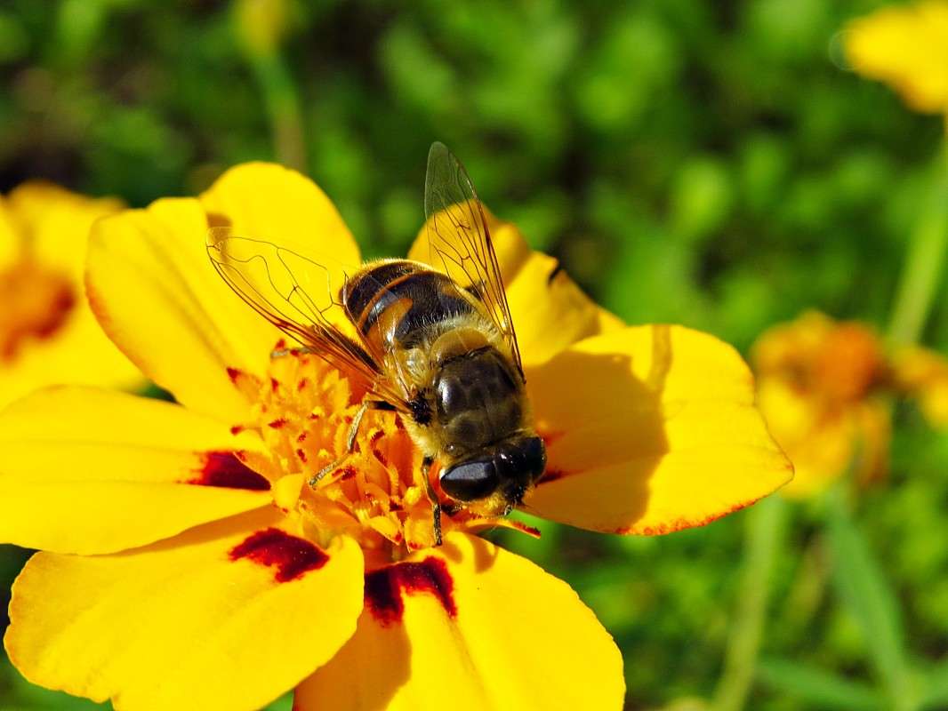 ��������. ����� �������� ������ �� PhotoGeek.ru #����� #�������� ��� #���������