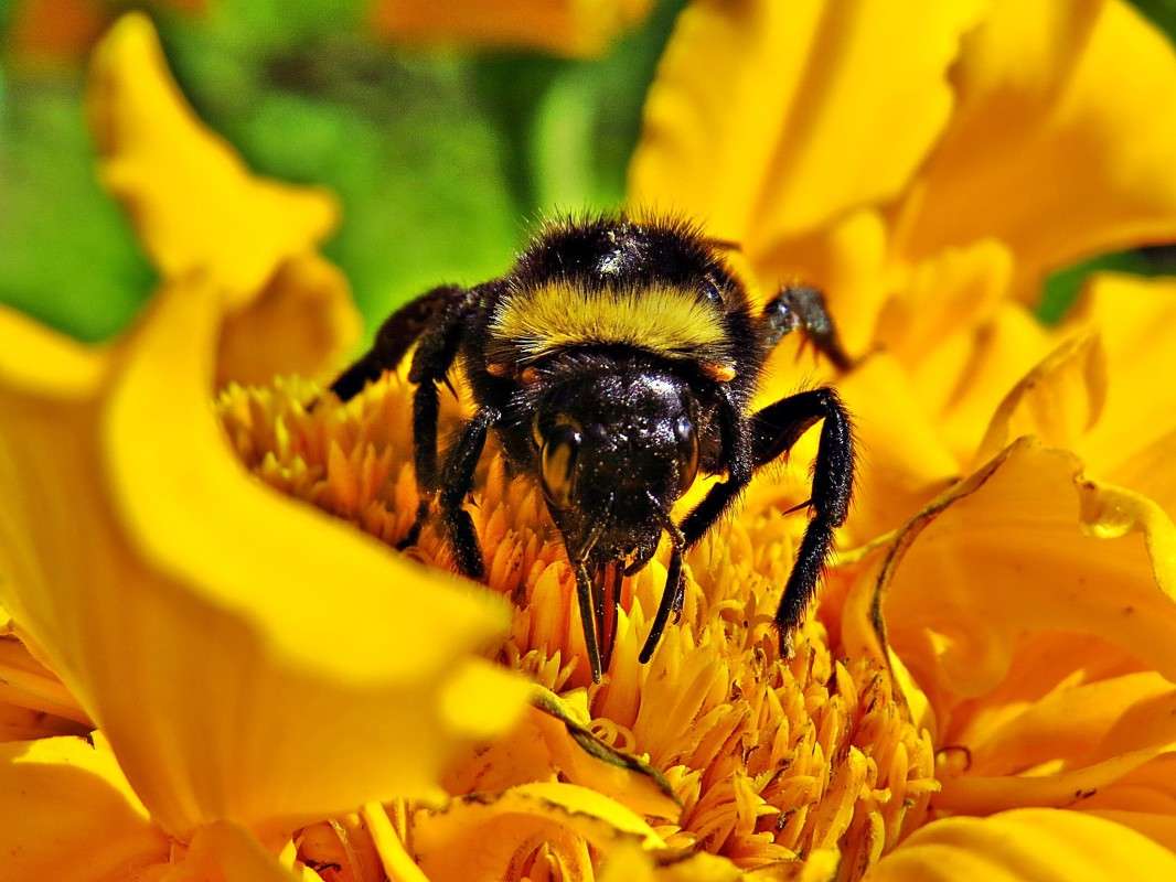 �������� �����. ����� �������� ������ �� PhotoGeek.ru #����� #�������� ��� #������ ��� ������� #���������