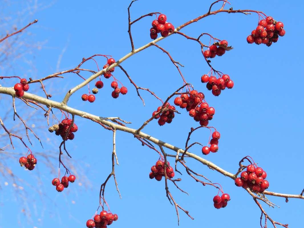 ��������� � ������ ����� �������� ������ �� PhotoGeek.ru #������ ��� ������� #�������� #����� ��������������