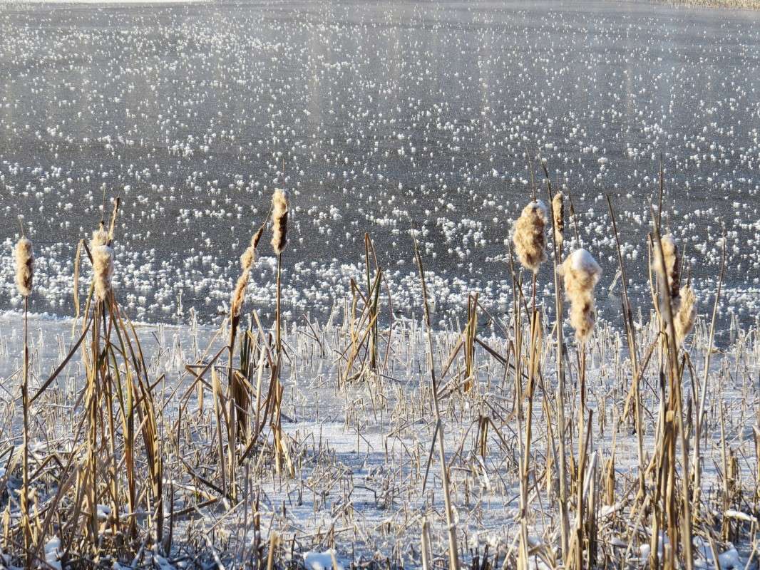 ������ ��. ����� �������� ������ �� PhotoGeek.ru #������ ��� ������� #�������� ���������� #����� ��������