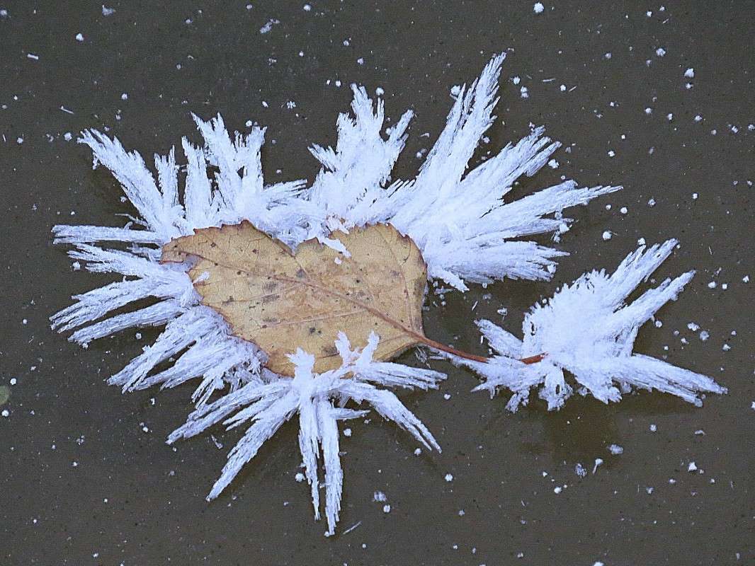 ������������ ��������. ����� �������� ������ �� PhotoGeek.ru #����� #������ ��� ������� #���������