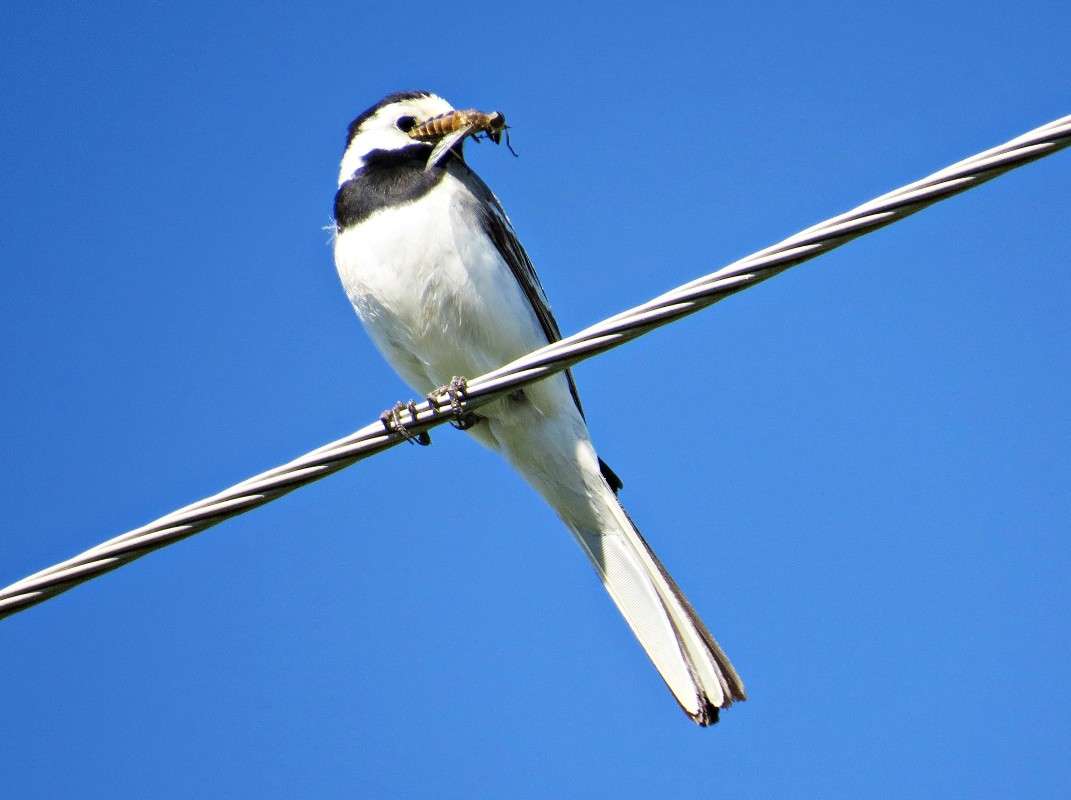 ���������� ��� ������ ������. ����� �������� ������ �� PhotoGeek.ru #�������� ���