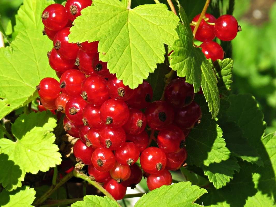 ������� ���������. ����� �������� ������ �� PhotoGeek.ru #������ ��� ������� #����� ��������������