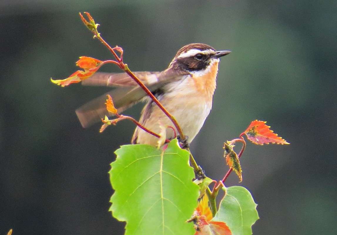 ����� �������.��������. ����� �������� ������ �� PhotoGeek.ru #�������� ��� #������ ��� ������� #����� ��� ��� ���������