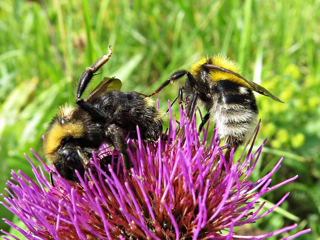 ������ �� ������� �����. ����� �������� ������ �� PhotoGeek.ru #����� #�������� ��� #����� ��� ��� ��������� #���������