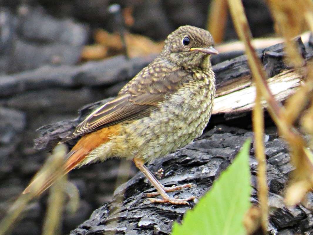 ���������. ����� �������� ������ �� PhotoGeek.ru #�������� ��� #����� ��� ��� ���������