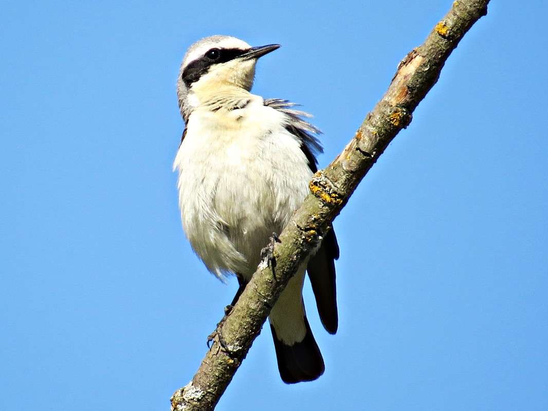 ������� ����� �������� ������ �� PhotoGeek.ru #�������� ��� #����� ��� ��� ���������