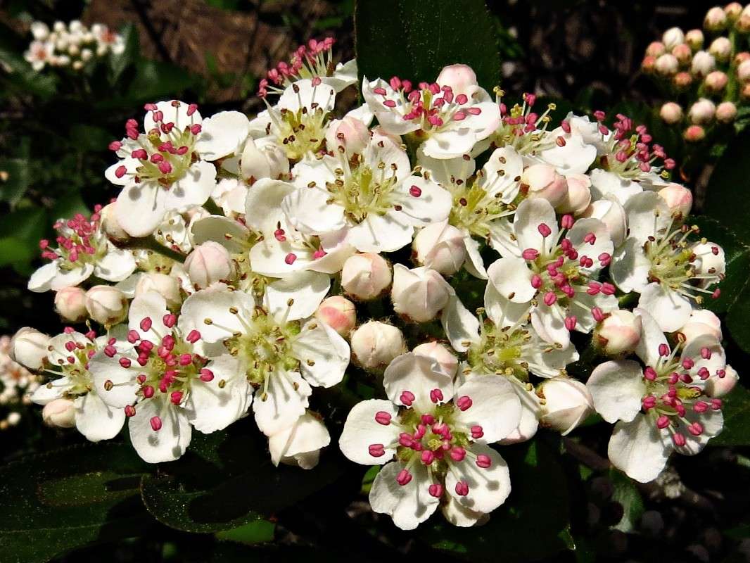 ������ ����. ����� �������� ������ �� PhotoGeek.ru #����� #����� ��������������