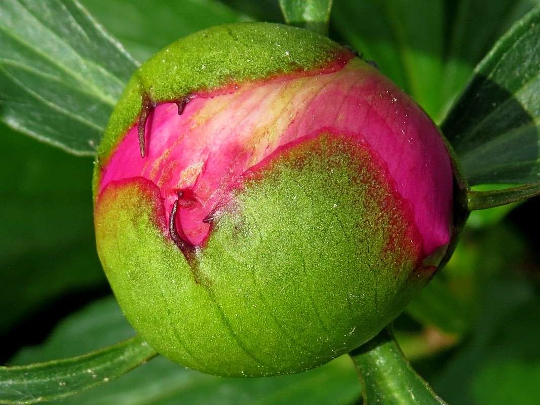 ����� �����. ����� �������� ������ �� PhotoGeek.ru #����� #����� ��������������